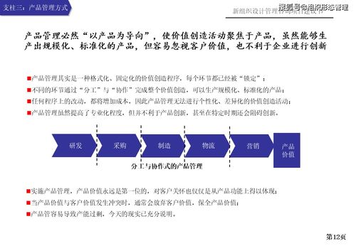 新组织设计管理咨询项目建议书